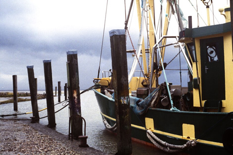 Tetenbüllspieker/Eiderstedt, Herbst 2012